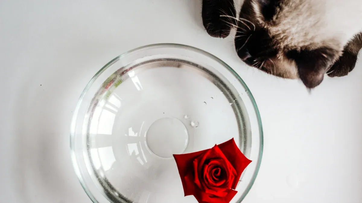 Are Roses Toxic for Cats